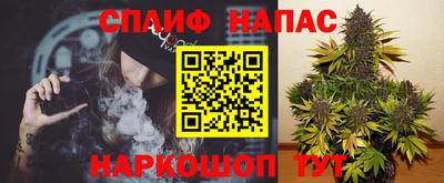 гашик Пугачёв