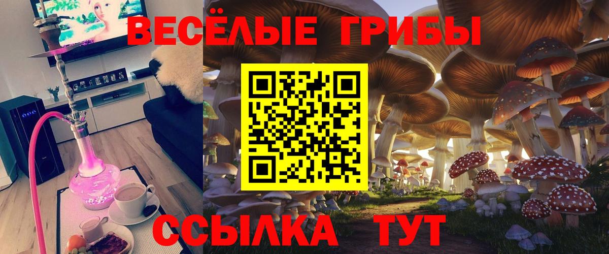 Псилоцибиновые грибы мицелий Санкт-Петербург